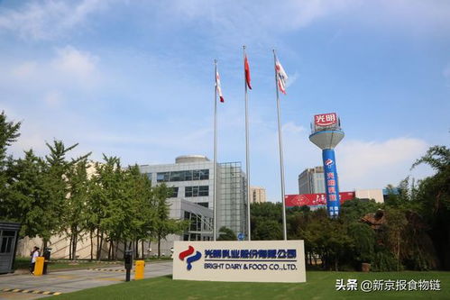 以智戰“?！?光明乳業5C競爭力驅動總部管理，煥發鮮奶產業新活力