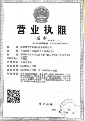 湖南魔方商務(wù)咨詢(xún)服務(wù) 專(zhuān)業(yè)銷(xiāo)售與技術(shù)咨詢(xún)的完美融合