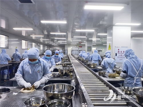 奏響高質量發展三部曲，白沙工業園唱響食品及農產品加工最強音